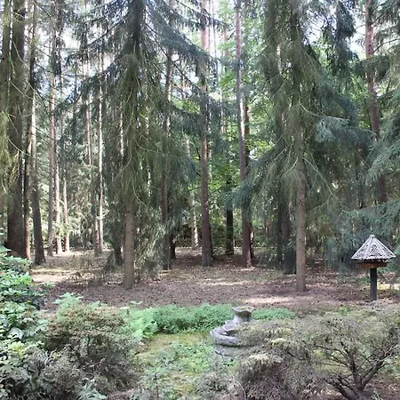 With 2 Bedrooms بيت للعطل Böddenstedt